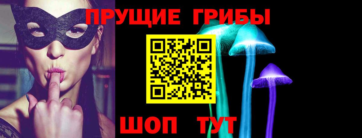 Псилоцибиновые грибы Psilocybine cubensis Полевской